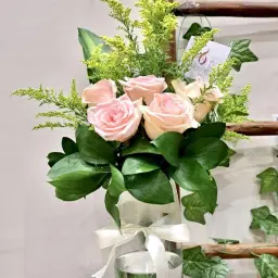 Baby Pink